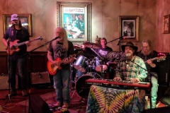 Terrapin Moon 11-9-2018 -Jimmie's Ladder 11 (All The Years Combined)